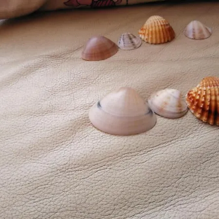 Centralissimo * 팔라우